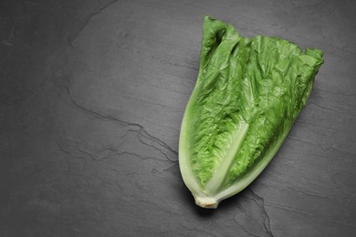 Fresh green romaine lettuce on black table, top view. Space for text