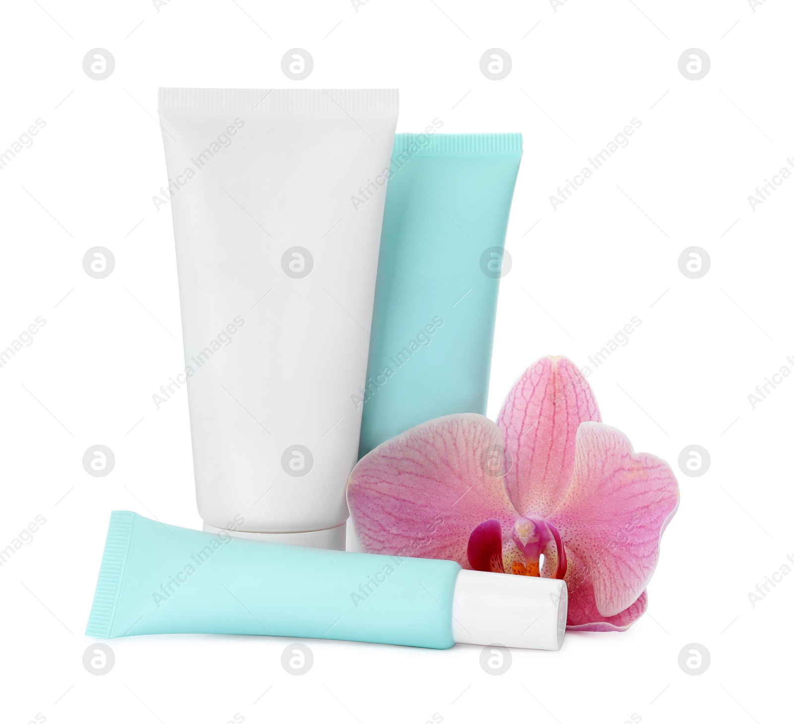 Photo of Cosmetic products and flower on white background