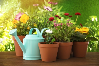 Photo of Potted blooming flowers and watering can on wooden table. Home gardening