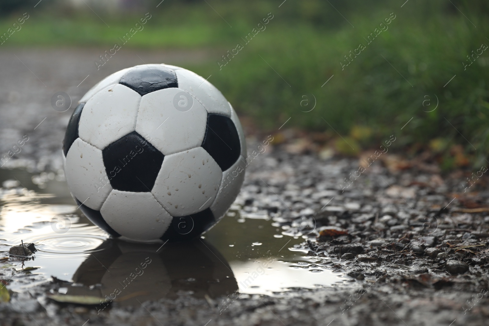 Photo of Leather soccer ball in puddle outdoors, space for text