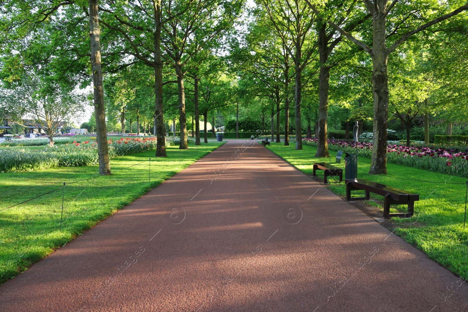 Photo of Park with variety of beautiful flowers, trees and wooden benches on sunny day. Spring season