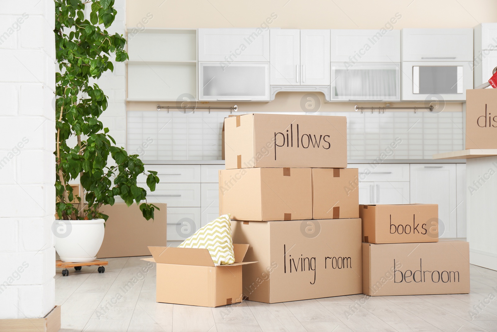 Photo of Many cardboard boxes in kitchen. Moving day