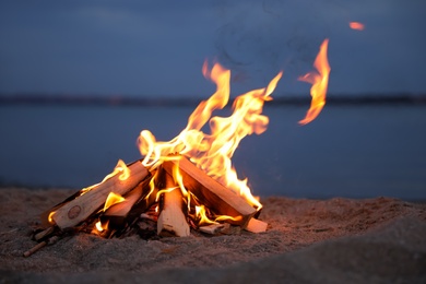 Beautiful bonfire with burning firewood on beach