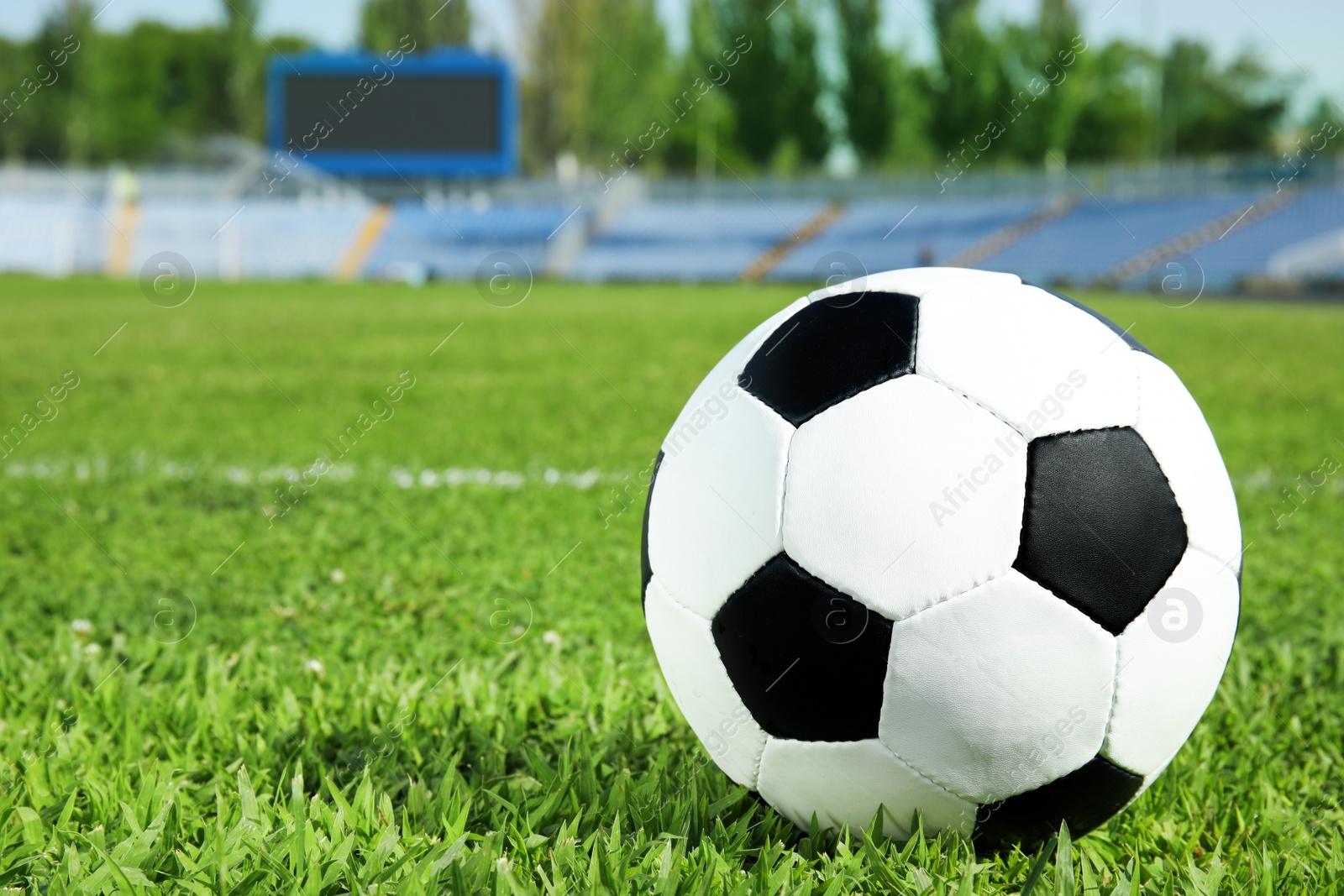 Photo of Soccer ball on fresh green football field grass. Space for text