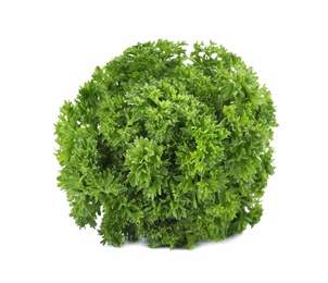Bunch of fresh green parsley on white background