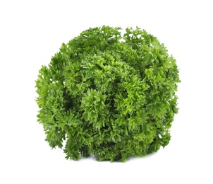 Photo of Bunch of fresh green parsley on white background