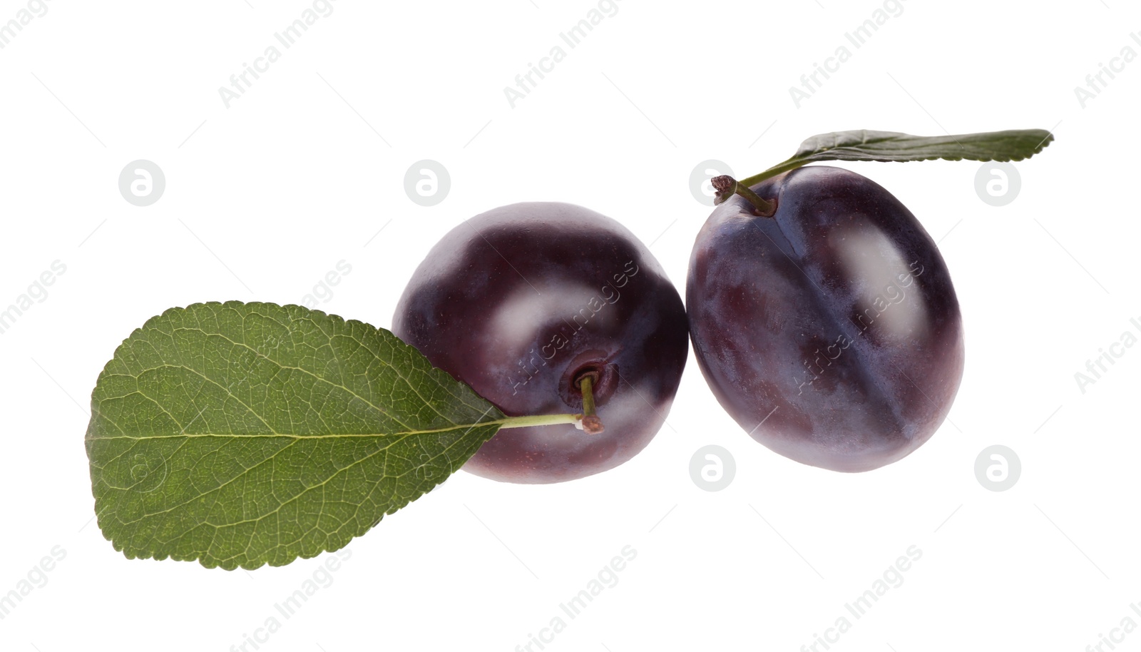 Photo of Delicious ripe plums with leaves isolated on white