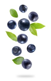 Image of Fresh ripe bilberries and green leaves falling on white background