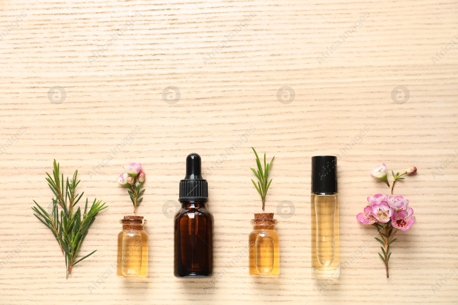 Photo of Flat lay composition with bottles of natural tea tree oil and space for text on wooden background