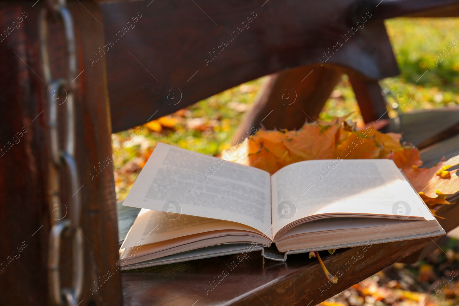 Photo of Wooden swing with book and yellow dry leaves outdoors. Autumn atmosphere