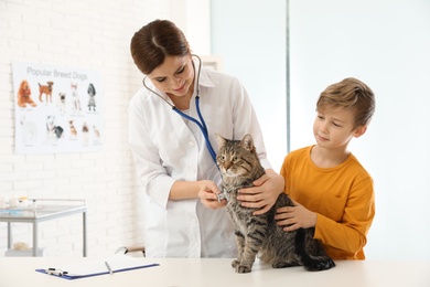 Boy with his cat visiting veterinarian in clinic