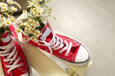 Photo of Above view of beautiful tender chamomile flowers in red gumshoes on wooden table