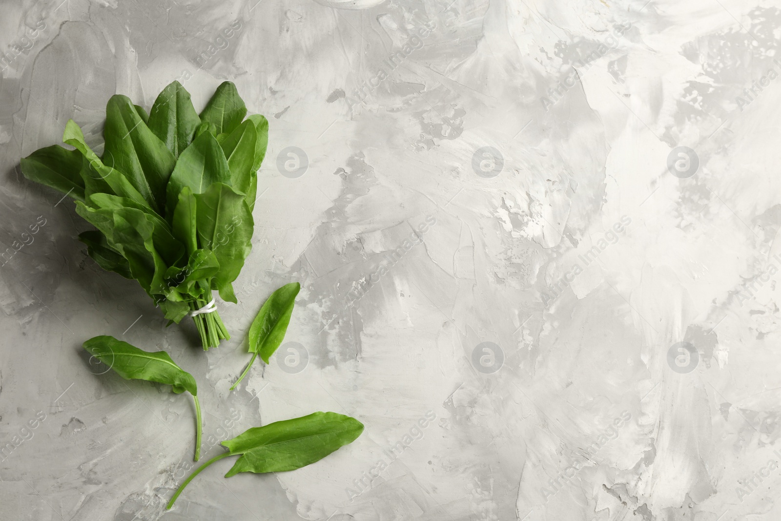 Photo of Fresh sorrel on light grey marble table, flat lay. Space for text
