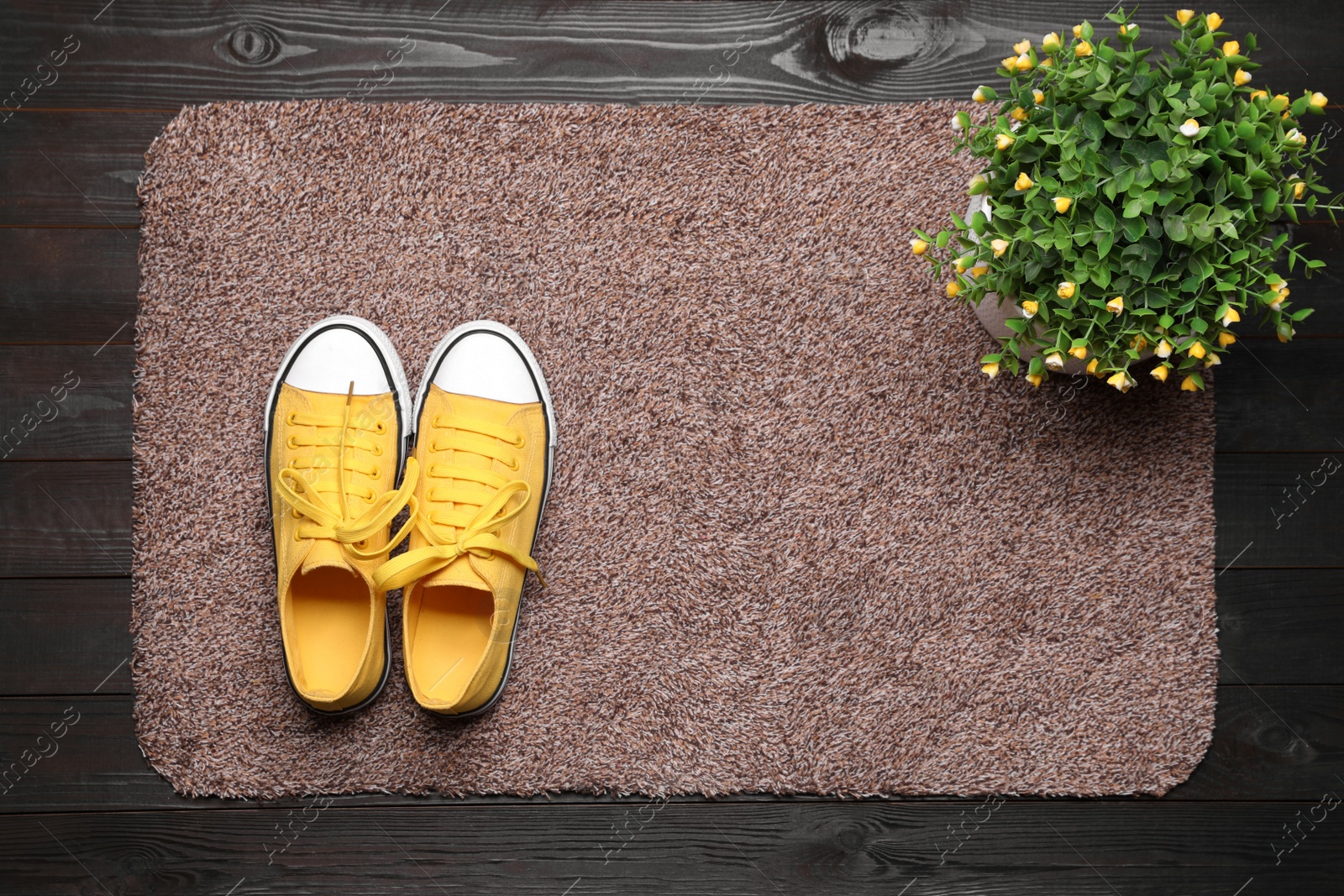 Photo of New clean door mat with shoes and plant on black wooden floor, top view