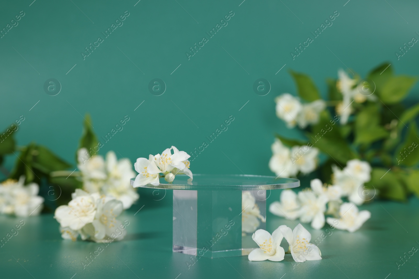 Photo of Presentation of product. Glass podium and beautiful jasmine flowers on green background, space for text