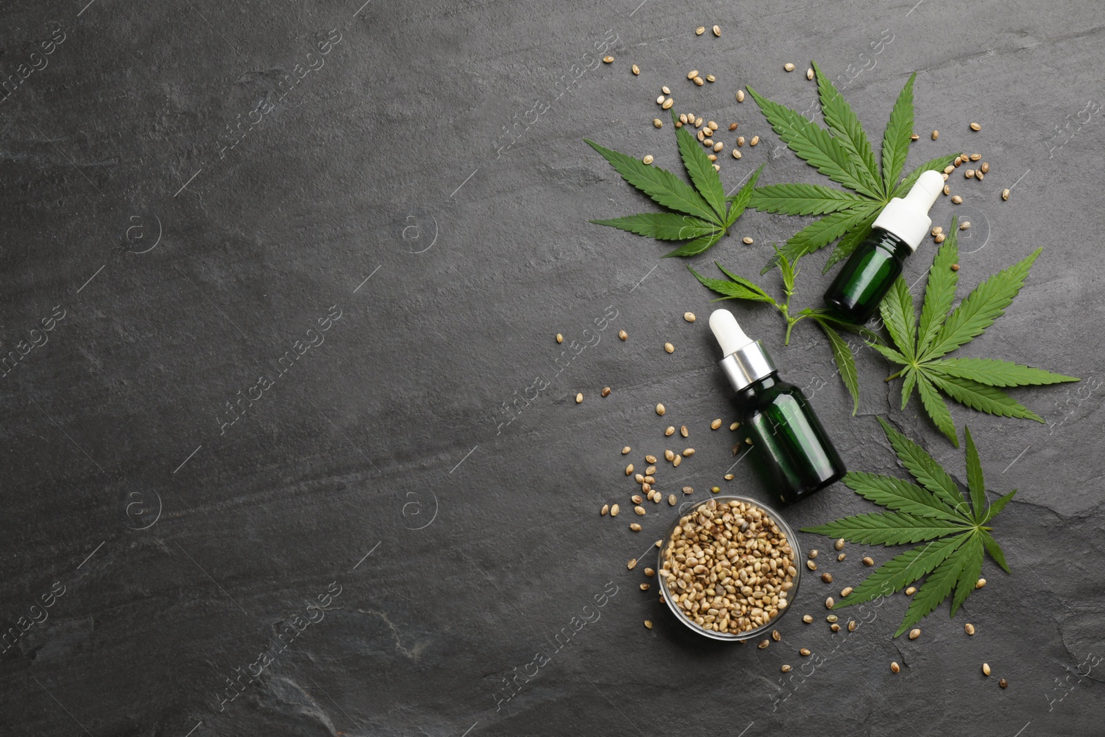 Photo of Flat lay composition with hemp leaves, bottles of CBD oil and THC tincture on black slate table. Space for text