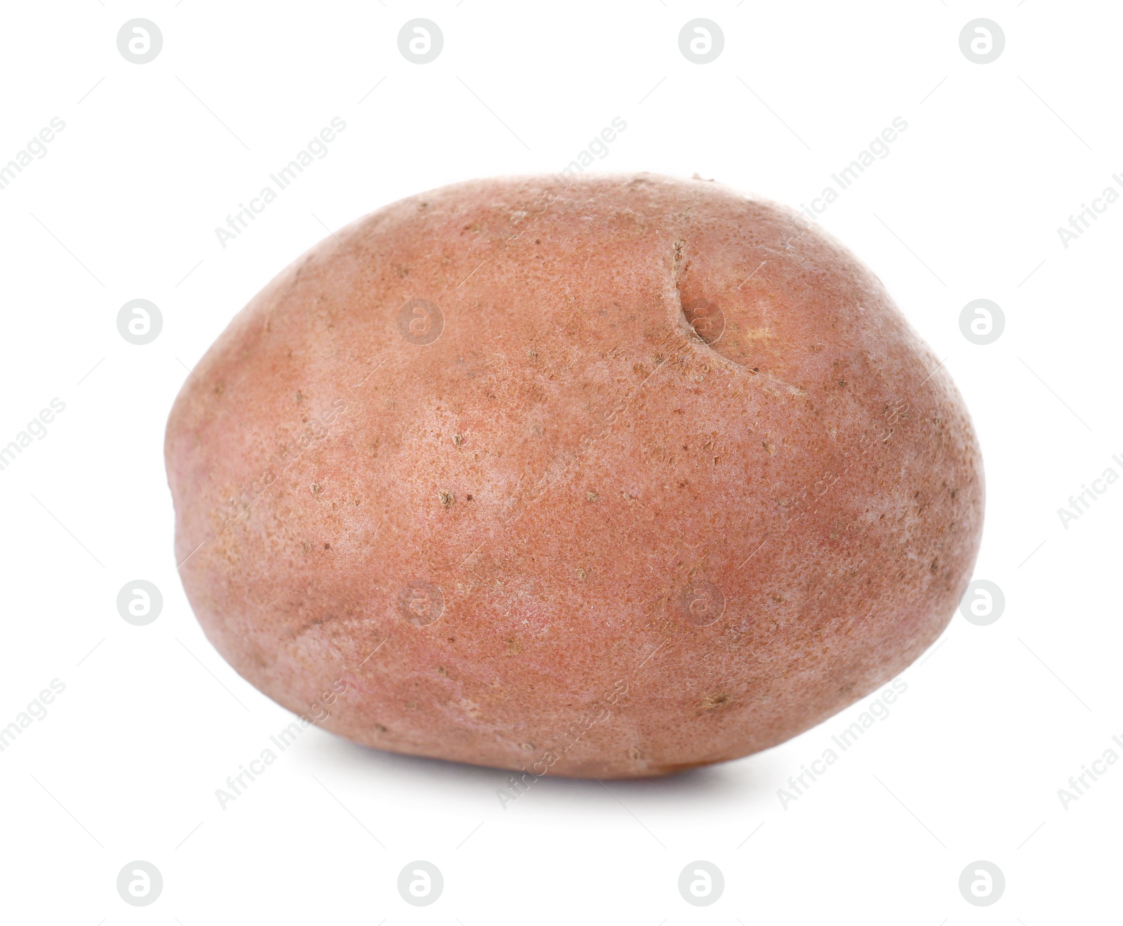 Photo of Fresh ripe organic potato on white background