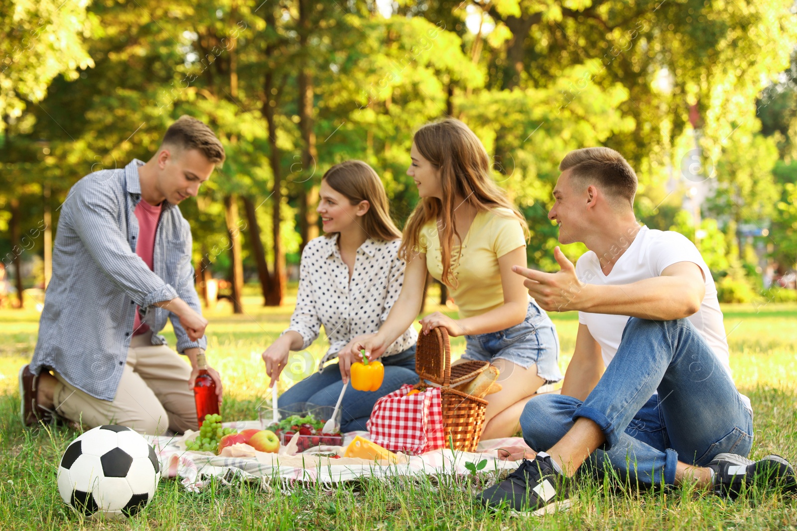 Photo of Young people enjoying picnic in park on summer day