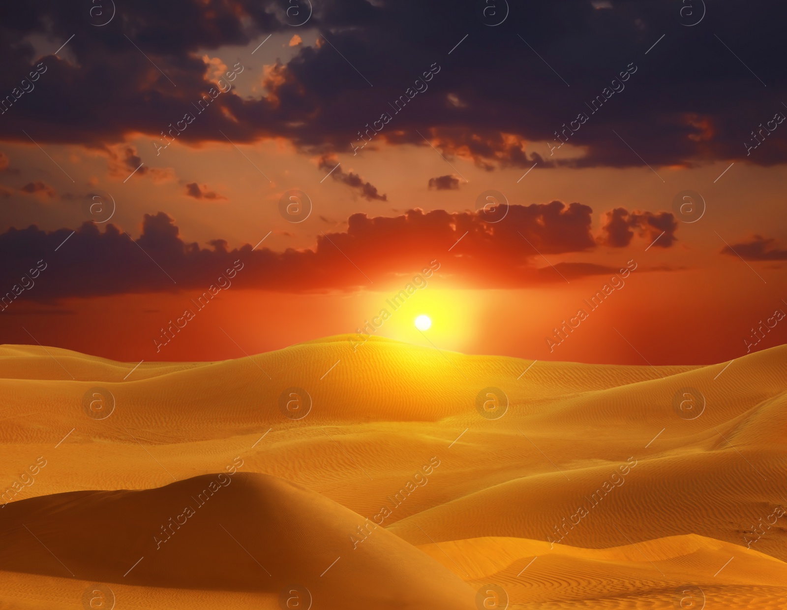 Image of Beautiful view of sandy desert at sunset