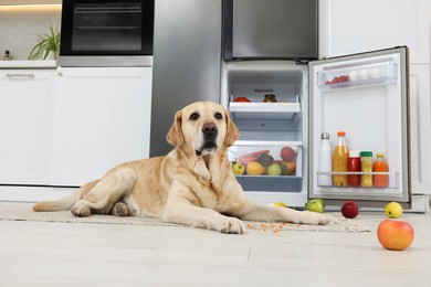 Photo of Cute Labrador Retriever with scattered fruits near open refrigerator in kitchen
