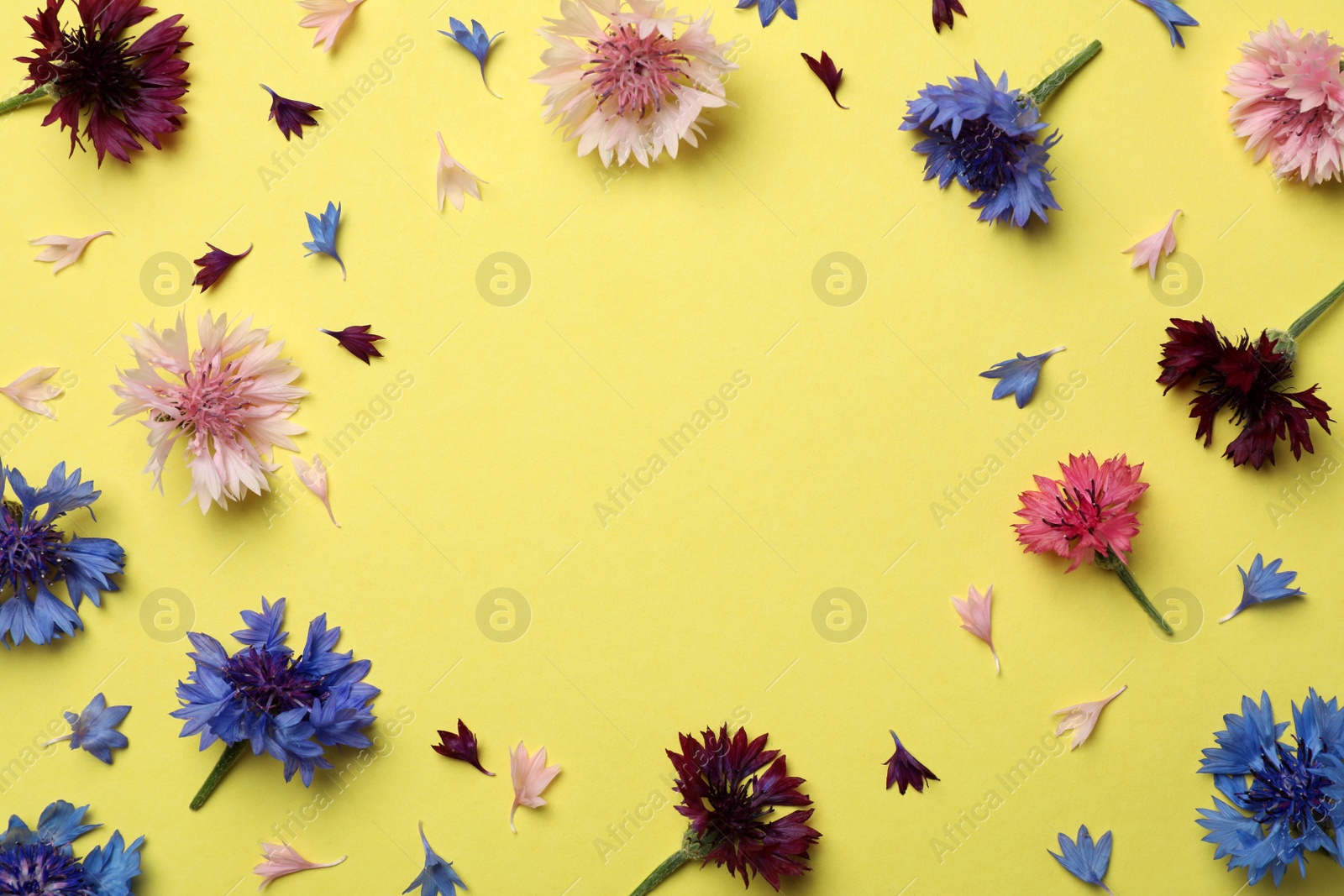 Photo of Frame of beautiful colorful cornflowers on yellow background, flat lay. Space for text