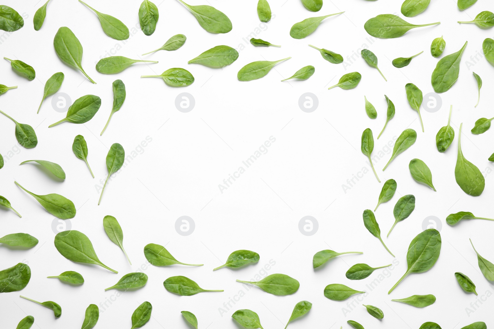 Photo of Frame of fresh green healthy spinach on white background, top view. Space for text