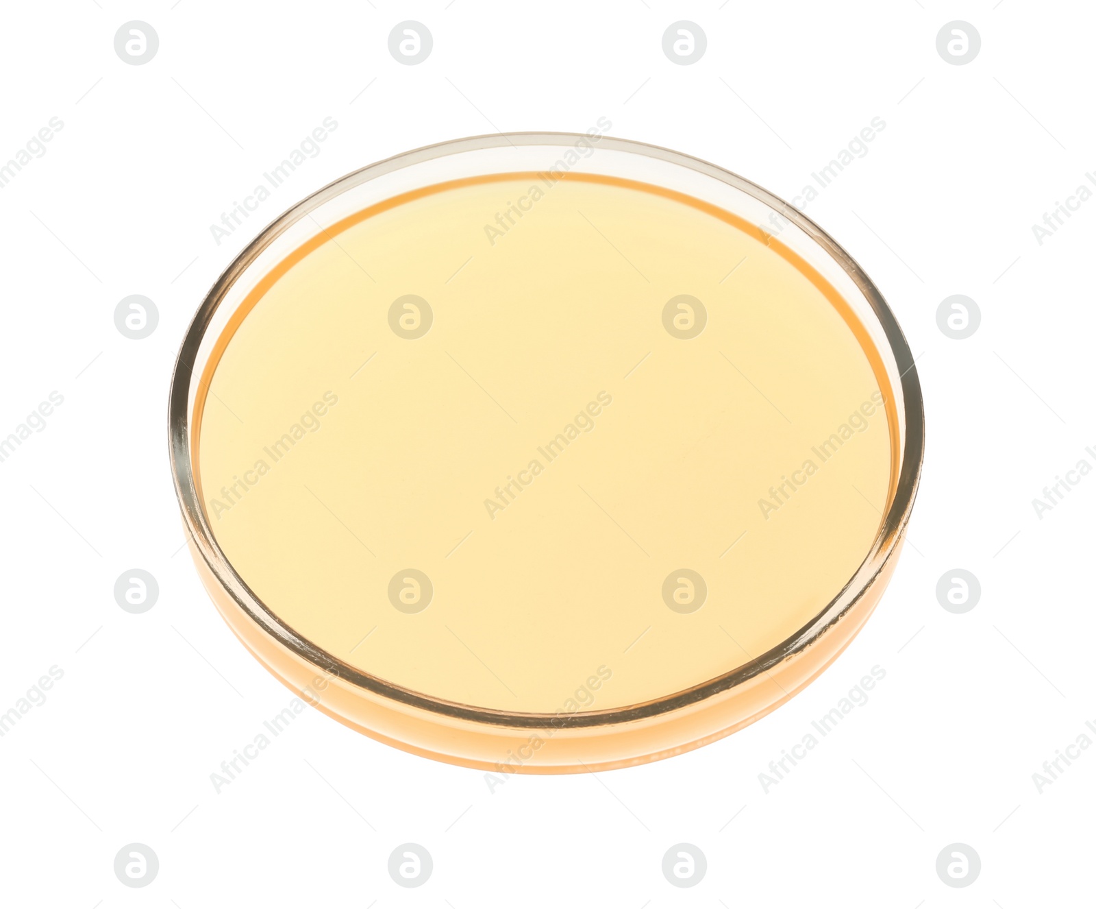 Photo of Petri dish with orange liquid isolated on white