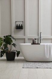 Photo of Modern ceramic bathtub and green plant near white wall indoors