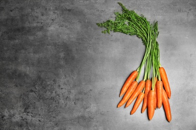 Photo of Ripe carrots on grey background, top view