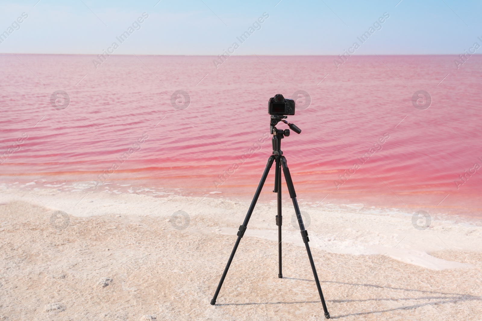 Photo of Professional camera on tripod near pink lake