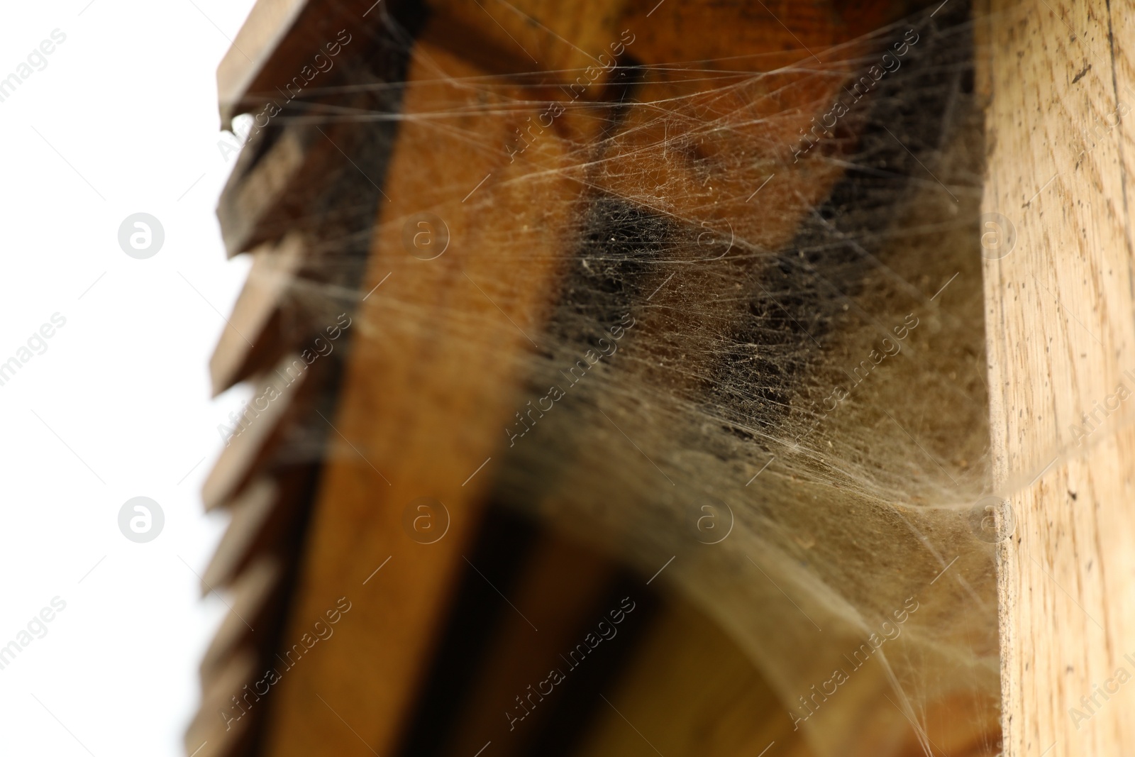 Photo of Dusty cobweb on wooden building outdoors, closeup