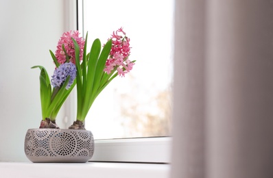 Photo of Blooming spring hyacinth flowers on windowsill at home, space for text