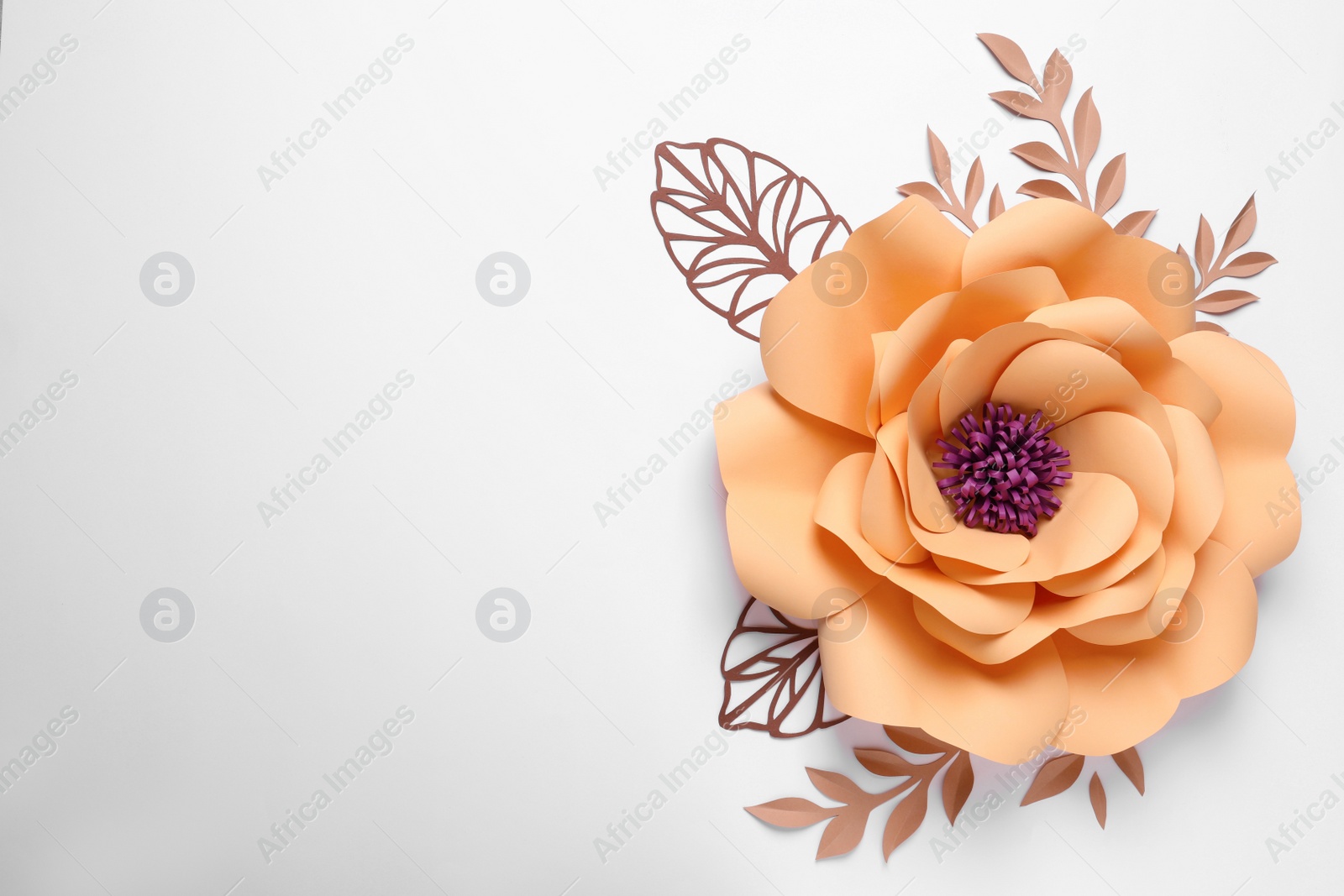 Photo of Beautiful flower and branches made of paper on white background, top view