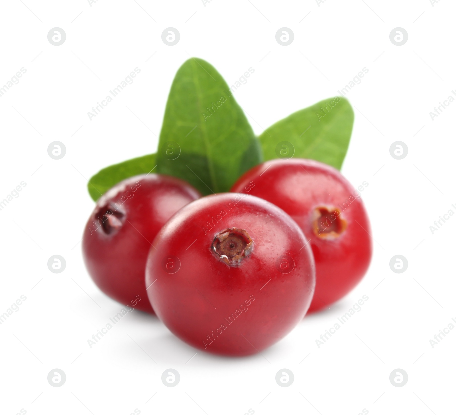 Photo of Fresh ripe cranberries with leaves isolated on white