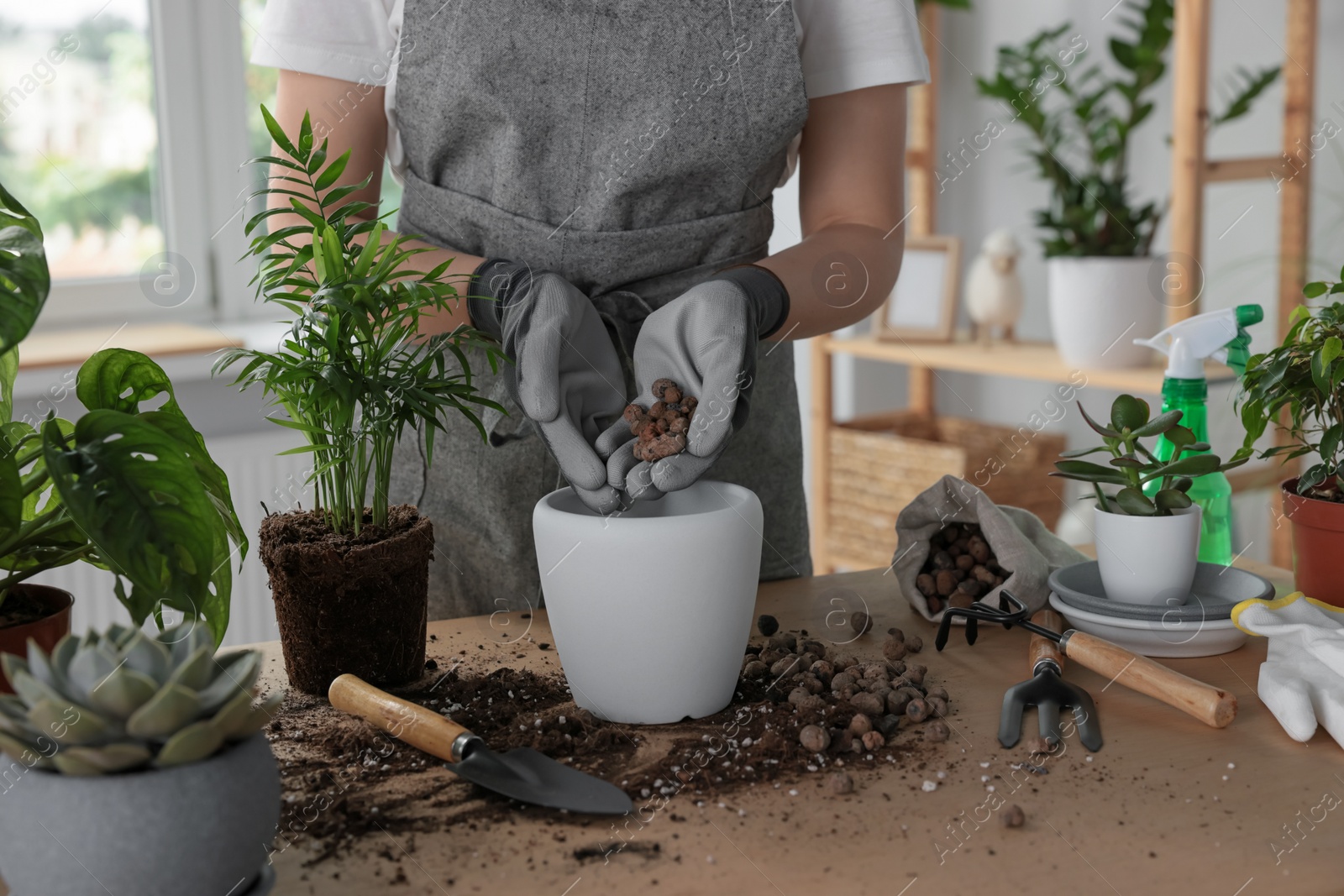 Photo of Woman filling flowerpot with drainage at table indoors, closeup. Houseplant care