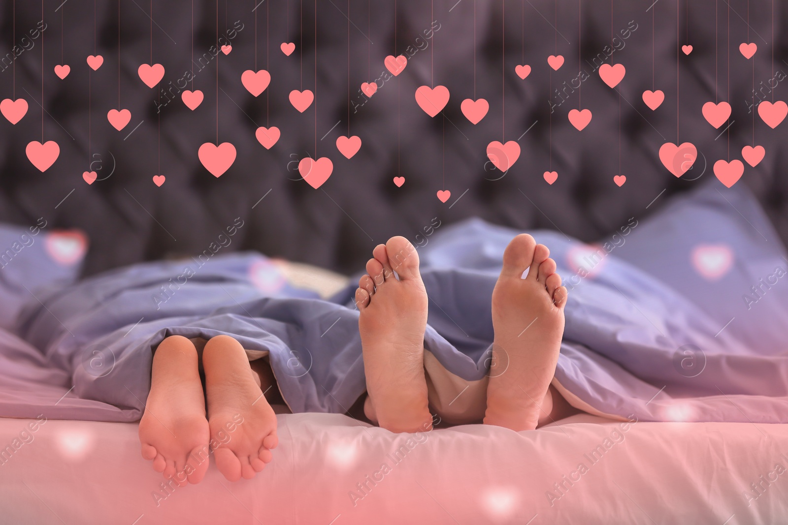 Image of Closeup view of young couple in bed at home and illustration of cute pink hearts