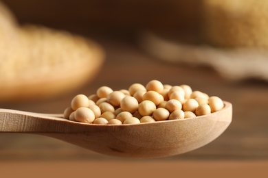 Photo of Soy in wooden spoon, closeup view. Edible legume