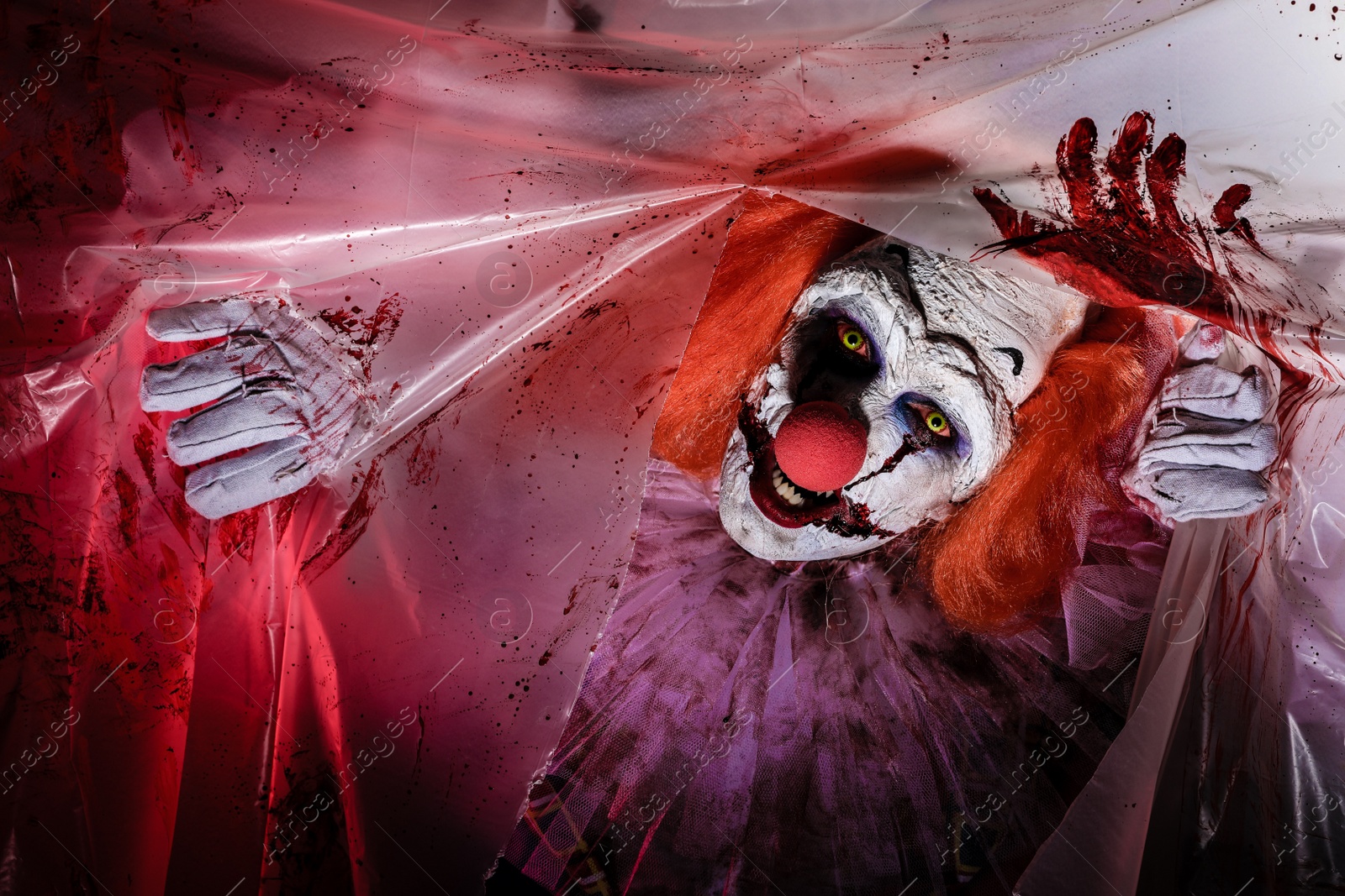 Photo of Terrifying clown staring through hole in torn bloodstained plastic film. Halloween party costume