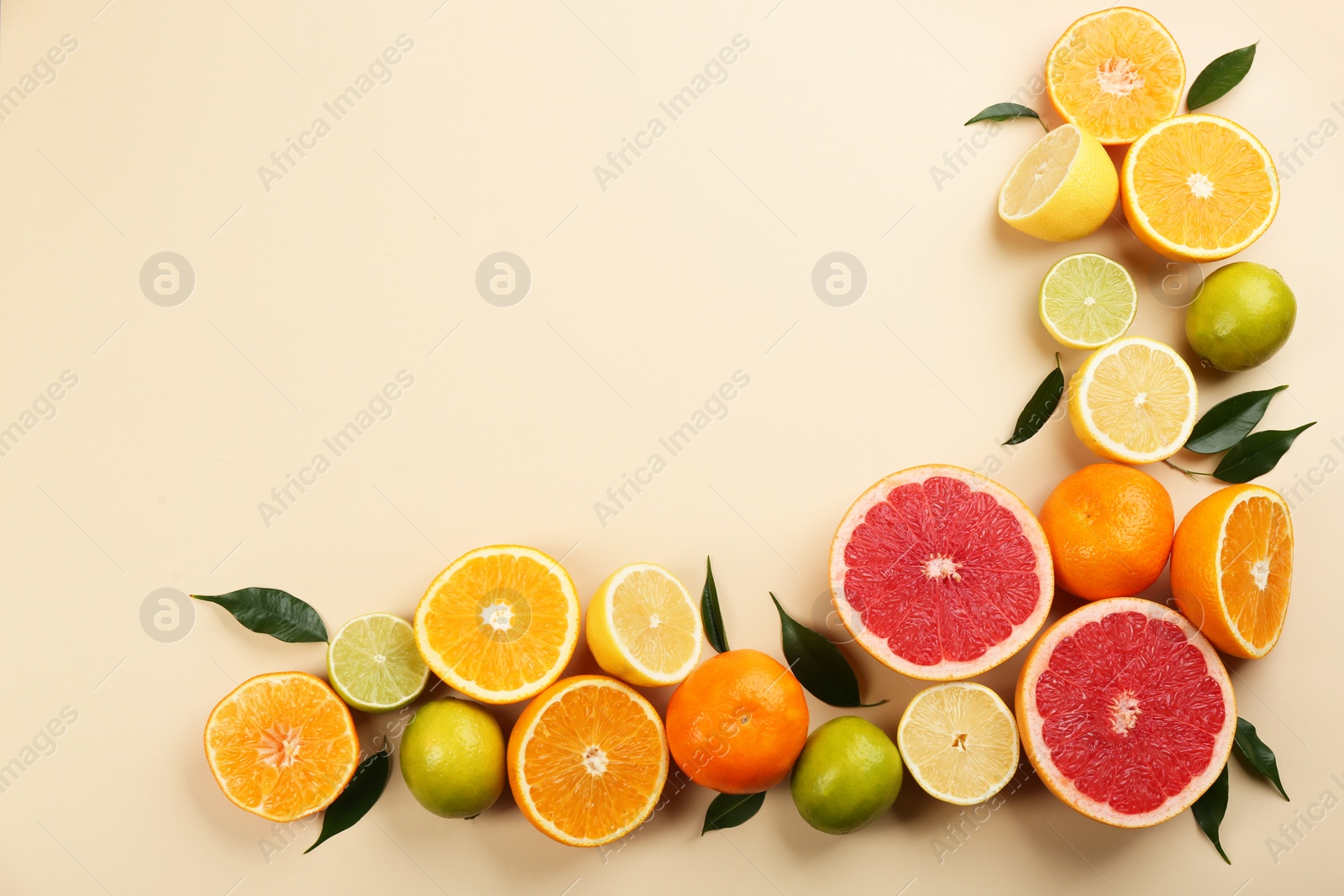 Photo of Flat lay composition with tangerines and different citrus fruits on beige background. Space for text