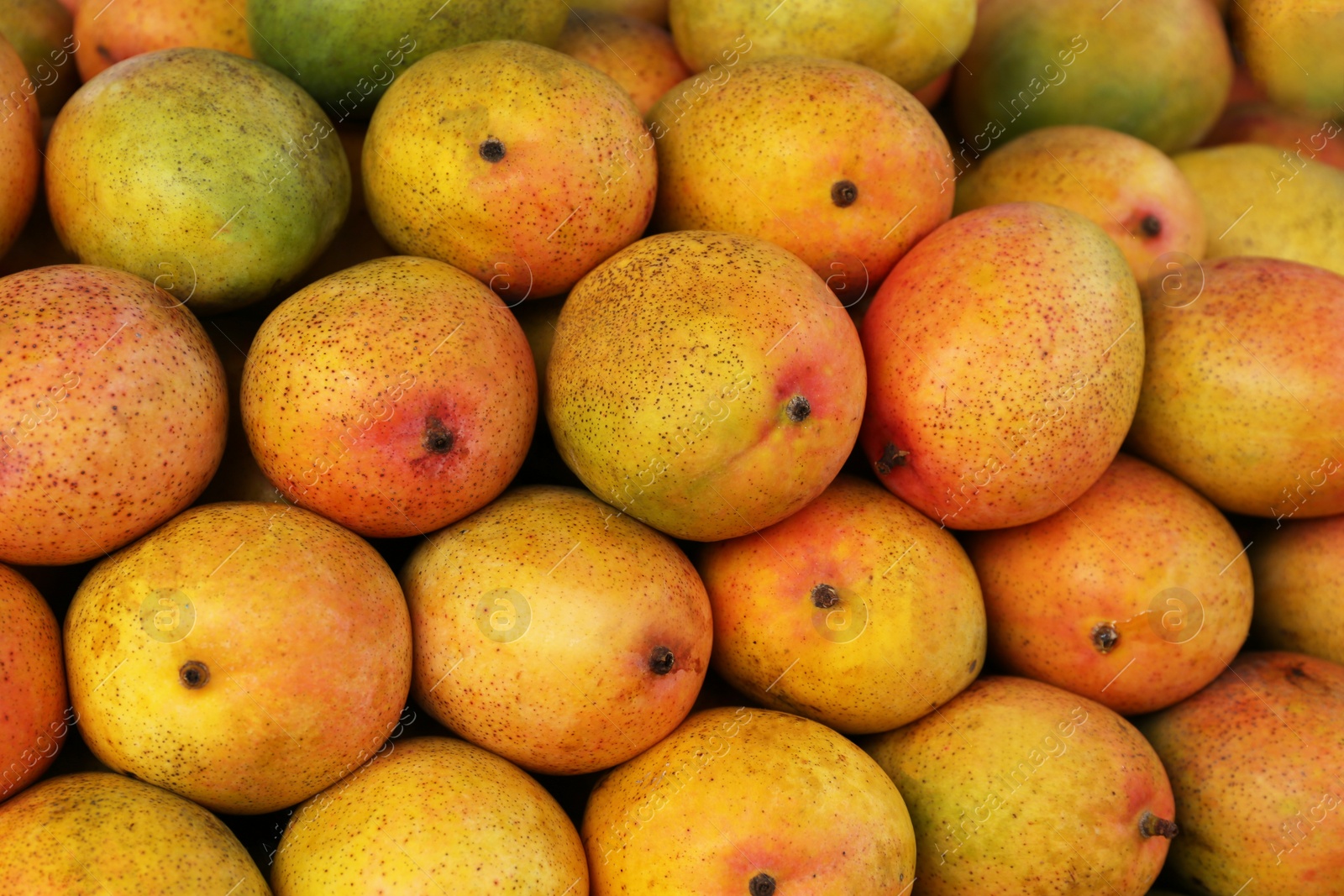 Photo of Pile of delicious ripe yellow mangoes, closeup