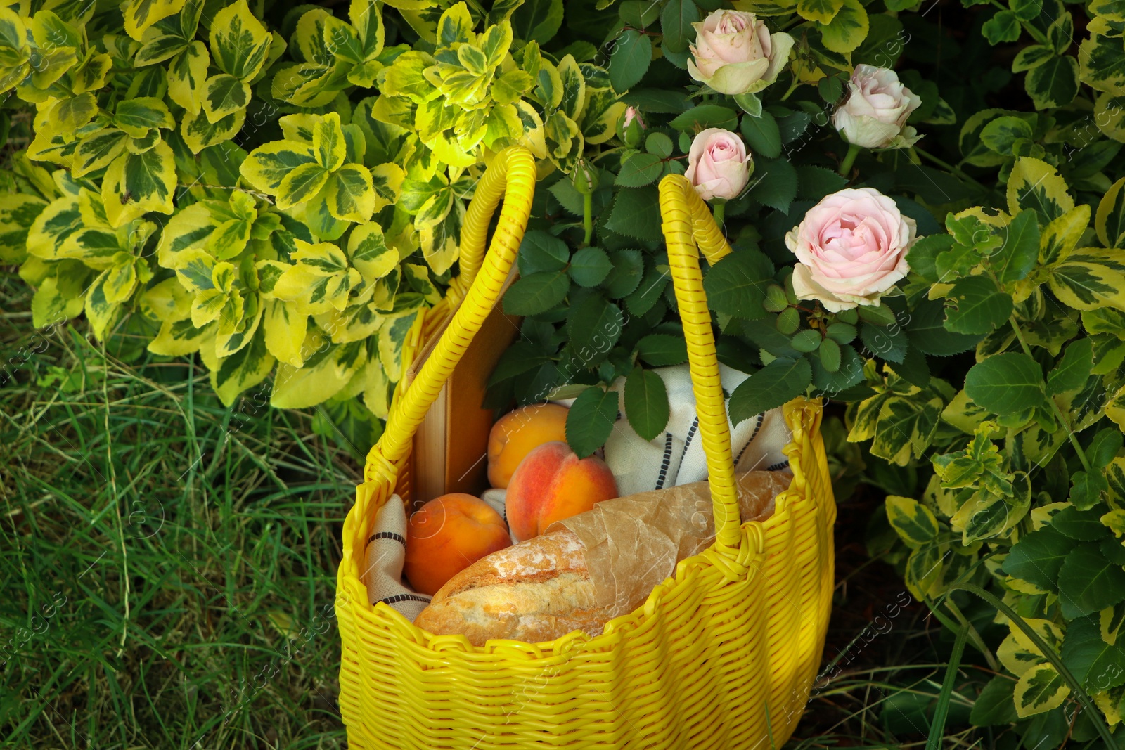 Photo of Yellow wicker bag with roses, peaches and baguette on green grass outdoors
