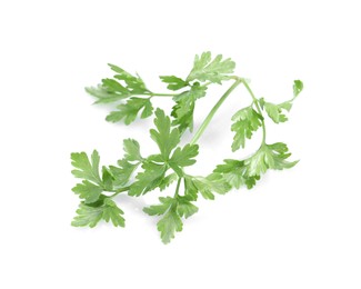 Photo of Sprig of fresh green parsley isolated on white