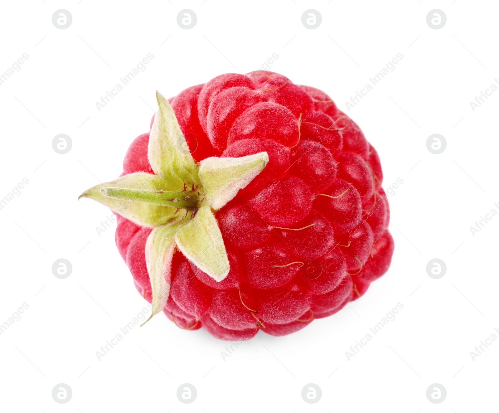 Photo of One tasty ripe raspberry isolated on white