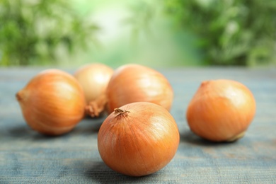 Photo of Ripe onions on blue wooden table against blurred background, space for text