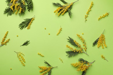 Photo of Beautiful mimosa flowers on green background, flat lay