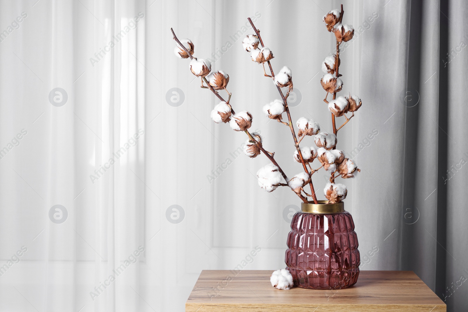 Photo of Cotton branches with fluffy flowers in vase on wooden table indoors. Space for text