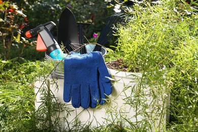 Photo of Wooden crate with gardening gloves, tools and potted plant on grass outdoors
