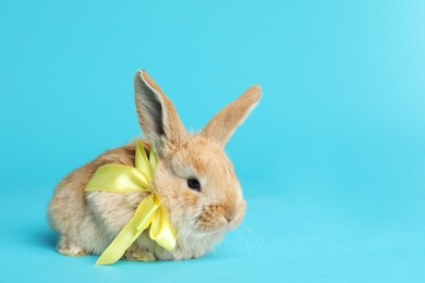 Adorable furry Easter bunny with cute bow tie on color background, space for text