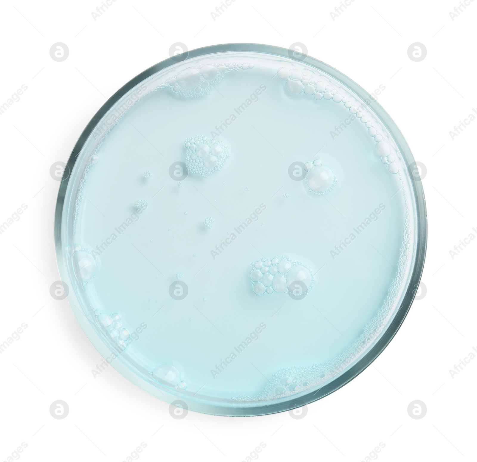 Photo of Petri dish with light blue liquid sample on white background, top view