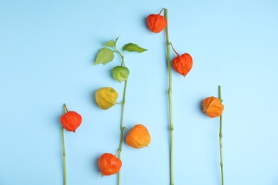 Photo of Physalis branches with colorful sepals on light blue background, flat lay